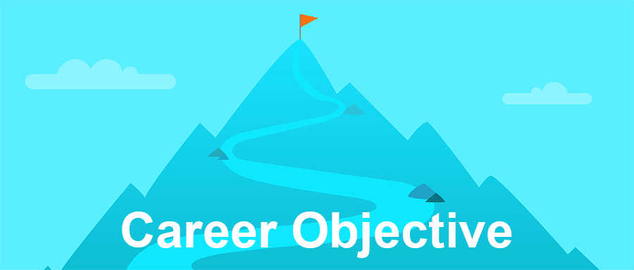 Career Objective